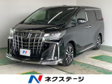 サンルーフ フルエアロ 両側電動ドア SDナビ 後席モニター