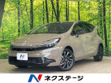レーダークルーズ 禁煙 AC100V BSM ハーフレザー パワーシート