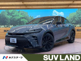 メーカーナビ 全周囲カメラ 衝突被害軽減システム 100V電源 禁煙車