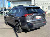 RAV4 2.0 アドベンチャー オフロードパッケージ II 4WD 
