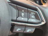 ステアリングスイッチで、先行車に自動追従するアダプティブクルーズコントロールが作動可能。設定した車速内での車間距離を自動で調整・維持。高速道路の渋滞時もアクセル・ブレーキ操作から解放されます。