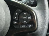 ◆アダプティブクルーズコントロール◆予め設定した車速内でクルマが自動的に加減速。前走車との適切な車間距離を維持しながら追従走行します。【LKAS】車線維持支援システムでステアリング操作を支援。