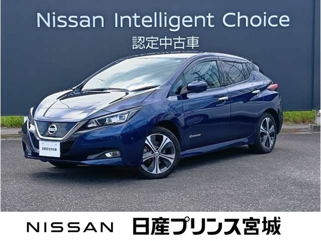 リーフ G