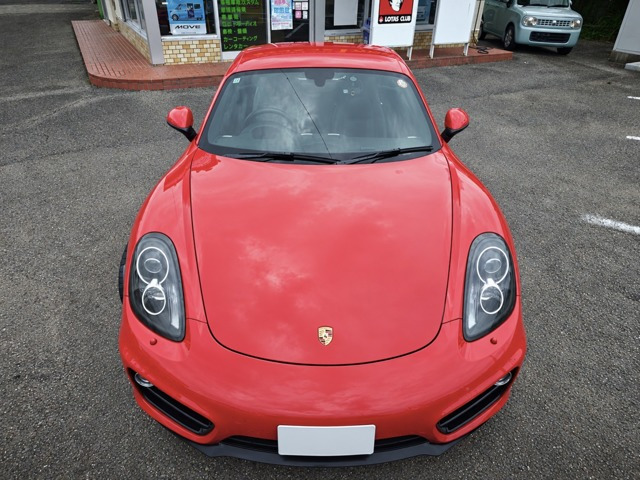 ケイマン  PDK