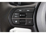 ハンドル左部分。運転中でも目線をずらさずに安全運転♪また、メーターの表示切替もダイヤル式でお好みに合わせられます。