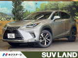 サンルーフ 純正10.3インチワイドナビ 全周囲カメラ 100V電源