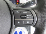 ハンドル右側はクルーズコントロールのスイッチを装備しています。運転中の操作も安心して行えます。