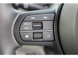 ハンドル左部分。運転中でも目線をずらさずに安全運転♪また、メーターの表示切替もダイヤル式でお好みに合わせられます。
