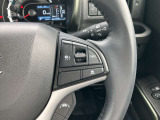 ハンドル左にオーディオスイッチ、右にオートクルーズコントロール搭載。高速道路等の長距離運転でドライバーの負担を軽減します。