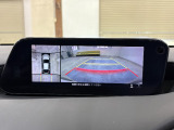 バックカメラの画像です。車庫入れの安心感がアップしますね☆