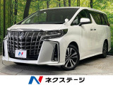 サンルーフ 後席モニター 100V電源 両側電動ドア 9型ディスプレイ