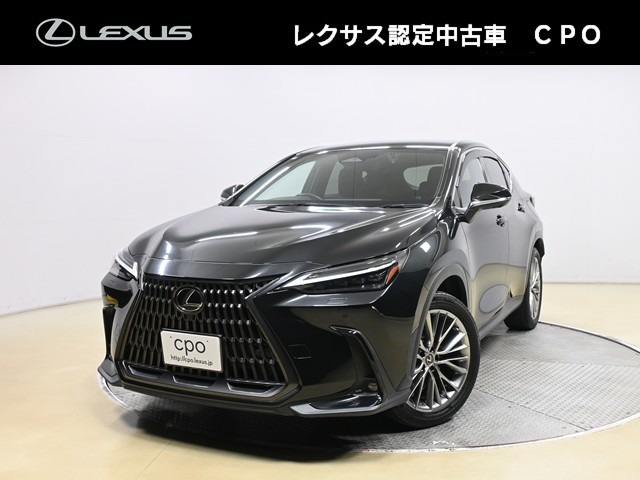 NX 250 バージョンL NX 250 バージョンL
