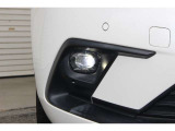 クルマに近い位置をワイドに照らすフォグライトを装備。シャープな光と低消費電力でドライブをサポートするのと共にワイド&ローな印象も高めます。