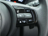 ◆アダプティブクルーズコントロール◆予め設定した車速内でクルマが自動的に加減速。前走車との適切な車間距離を維持しながら追従走行します。【LKAS】車線維持支援システムでステアリング操作を支援。