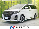 禁煙車 両側電動ドア 純正SDナビ 後席モニター バックカメラ