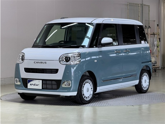 ムーヴキャンバス  ストライプス G