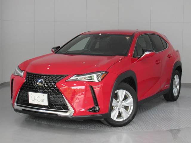 UX 250h