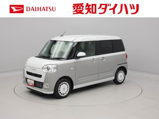 ムーヴキャンバス  ストライプス G