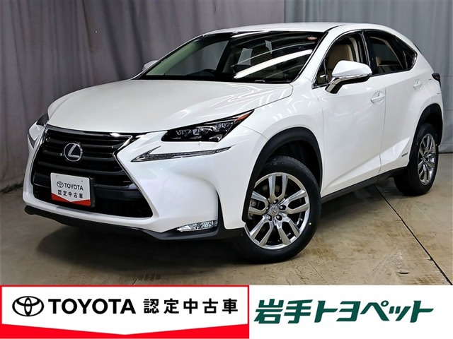 NX 300h Iパッケージ