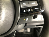 【ステアリングヒーター】車のハンドル部分を温めてくれて、寒い時期に手元を早く暖めることができます♪