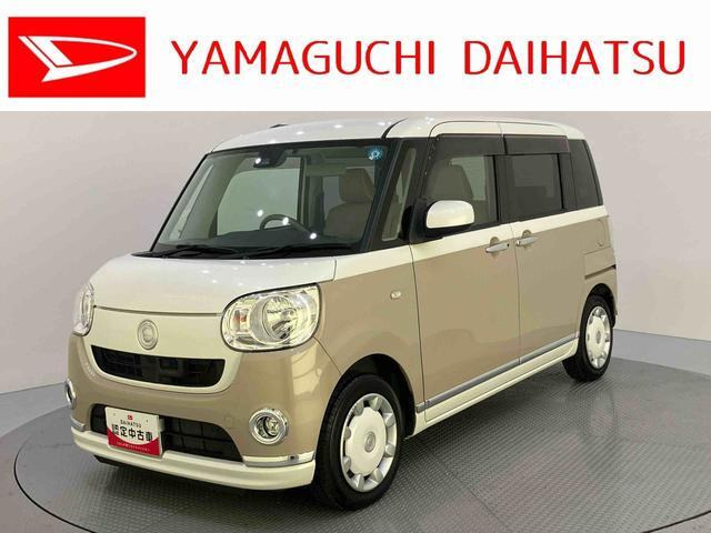 ムーヴキャンバス X リミテッド メイクアップ SAII