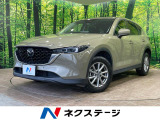 メーカー純正10インチナビ 全周囲カメラ スマートブレーキサポート