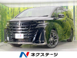 ガラスルーフ 純正14型ナビ 両側電動ドア 全周囲カメラ 100V電源