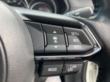 登録した速度に保ち走行するレーダークルーズコントロール付き。高速やバイパスでの運転支援に役立つ便利アイテムです!