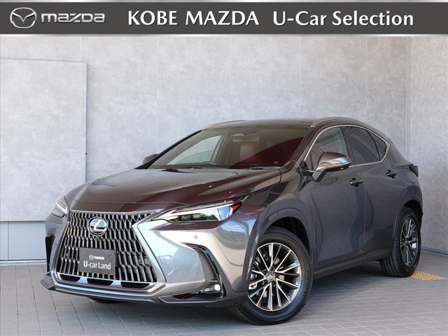 NX 250 バージョンL NX 250 バージョンL