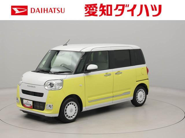 ムーヴキャンバス  ストライプス G
