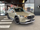 レーンキープアシストシステムを装備。車線から外れにくいようハンドル操作をサポートします。