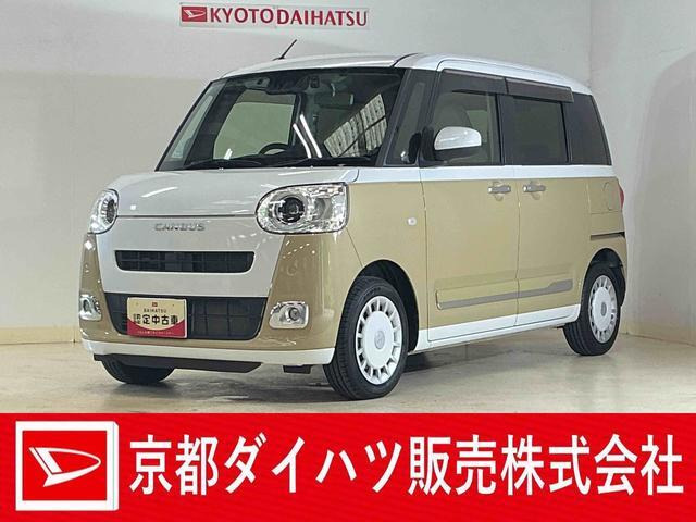 ムーヴキャンバス  ストライプス G