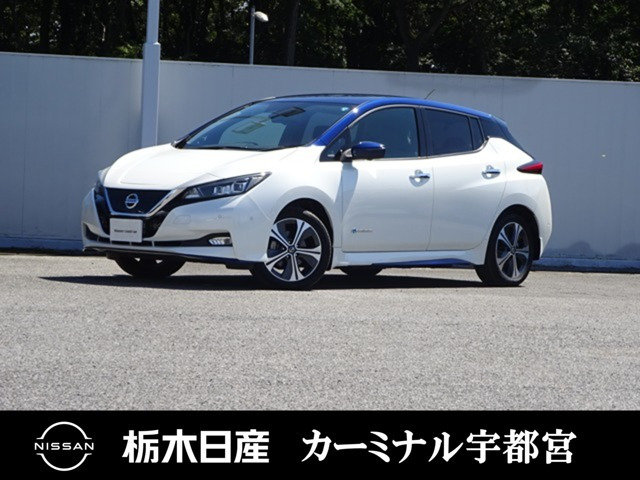 リーフ e+ G 