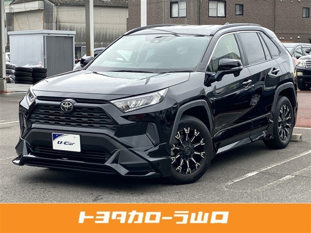 RAV4 2.0 X