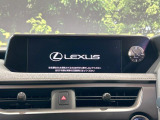 UX 250h 