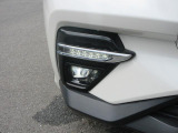 LEDライト&フォグランプ。雨の日や夜道でも安心して運転していただけます。