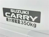 この量まで車に積載することができます。 沢山、積載できるので色んな使い方が出来ちゃいますね。