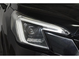 LEDヘッドランプは白色または青白い光を放ちます。夜間でも遠くまで見通しが良くなり、道路標識や歩行者をより早く認識できます。