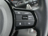 ◆アダプティブクルーズコントロール◆予め設定した車速内でクルマが自動的に加減速。前走車との適切な車間距離を維持しながら追従走行します。【LKAS】車線維持支援システムでステアリング操作を支援。