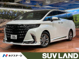 フルエアロ 両側電動ドア 後席モニター 全周囲カメラ 100V電源