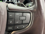 前方の車との車間を設定し、スピードを上げたり緩めたりを自動で行ってくれる追尾式の「レーダークルーズ」。上級装備の一つです!高級車にしかつかない嬉しい機能です。