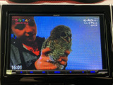 停車中にテレビや動画を楽しめるので、休憩時にも便利です。長距離移動の待ち時間を有効活用できます。多彩なエンターテイメント機能が充実しています。