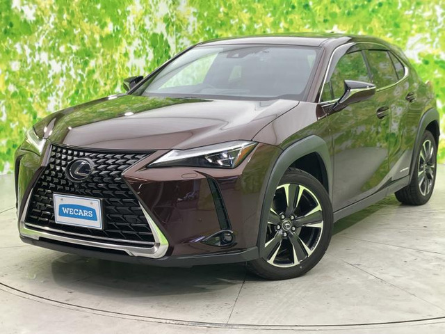 UX 250h ブラウン エディション 4WD