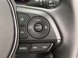 前方の車との車間を設定し、スピードを上げたり緩めたりを自動で行ってくれる追尾式の「レーダークルーズ」。上級装備の一つです!高級車にしかつかない嬉しい機能です。