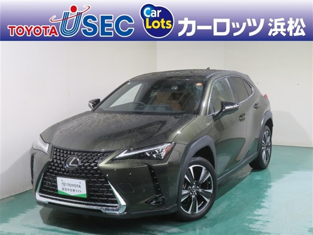 UX 250h グレイスフル エクスプローラー