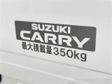この量まで車に積載することができます。 沢山、積載できるので色んな使い方が出来ちゃいますね。
