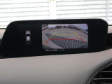 カラーで後方映像をモニターに映し出してくれるので、ショッピングモールのような狭い駐車場であったとしても障害物を見つけ、楽々駐車することができますね。