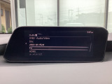 さまざまなオーディオソースが楽しめます!地デジつき!スマホとの連動も楽々です♪