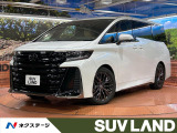 両側電動ドア 後席モニター 全周囲カメラ 衝突被害軽減システム ETC