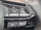 ミリ波レーダーで先行車との速度差や車間距離を認識。設定した車速内での車間距離を自動で調整・維持して、アクセル・ブレーキの操作なしで長距離ドライブの負担も軽減してくれます。